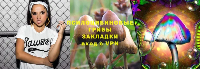 Галлюциногенные грибы Cubensis  Лесозаводск 